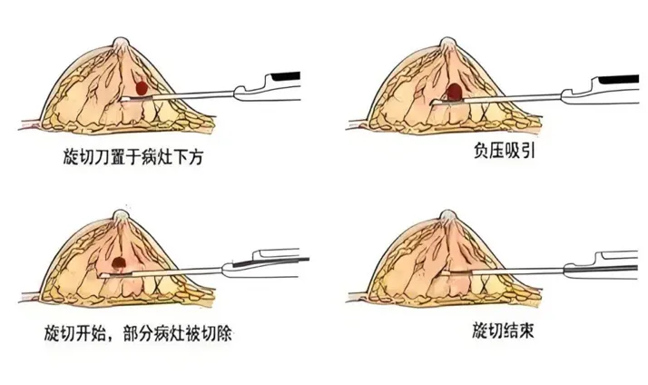 图片7.png 图片7.png